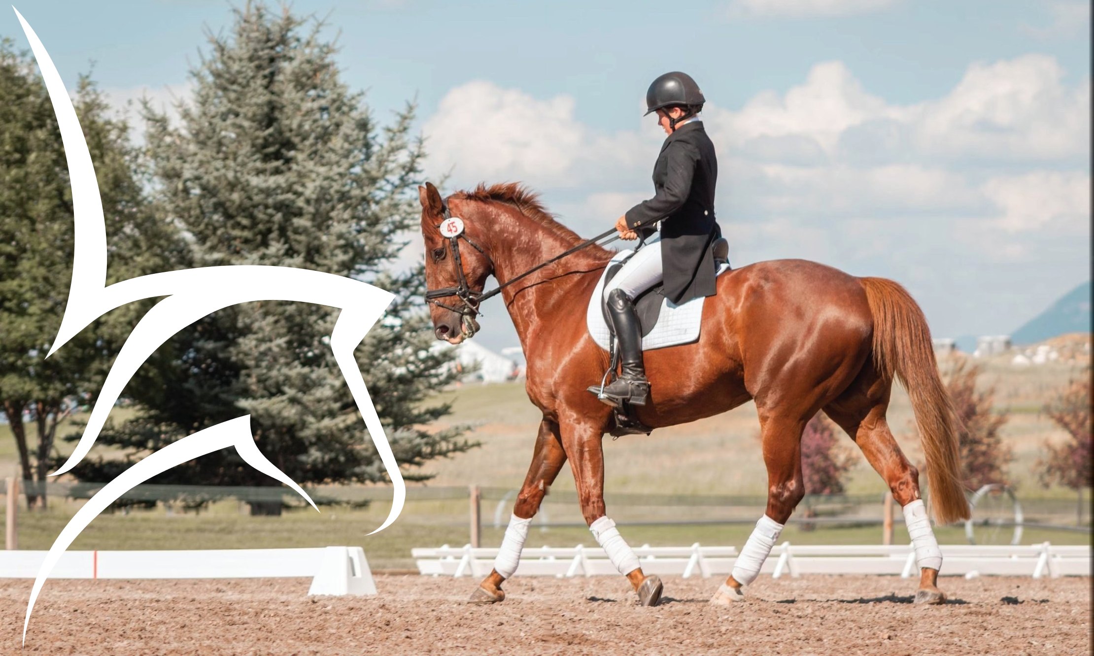 A rider on a chestnut horse performing dressage on the sand arena at Kazan Racecourse