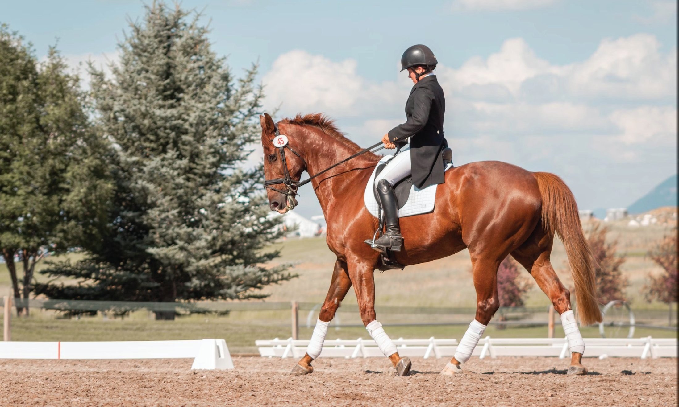 A rider on a chestnut horse performing dressage on the sand arena at Kazan Racecourse