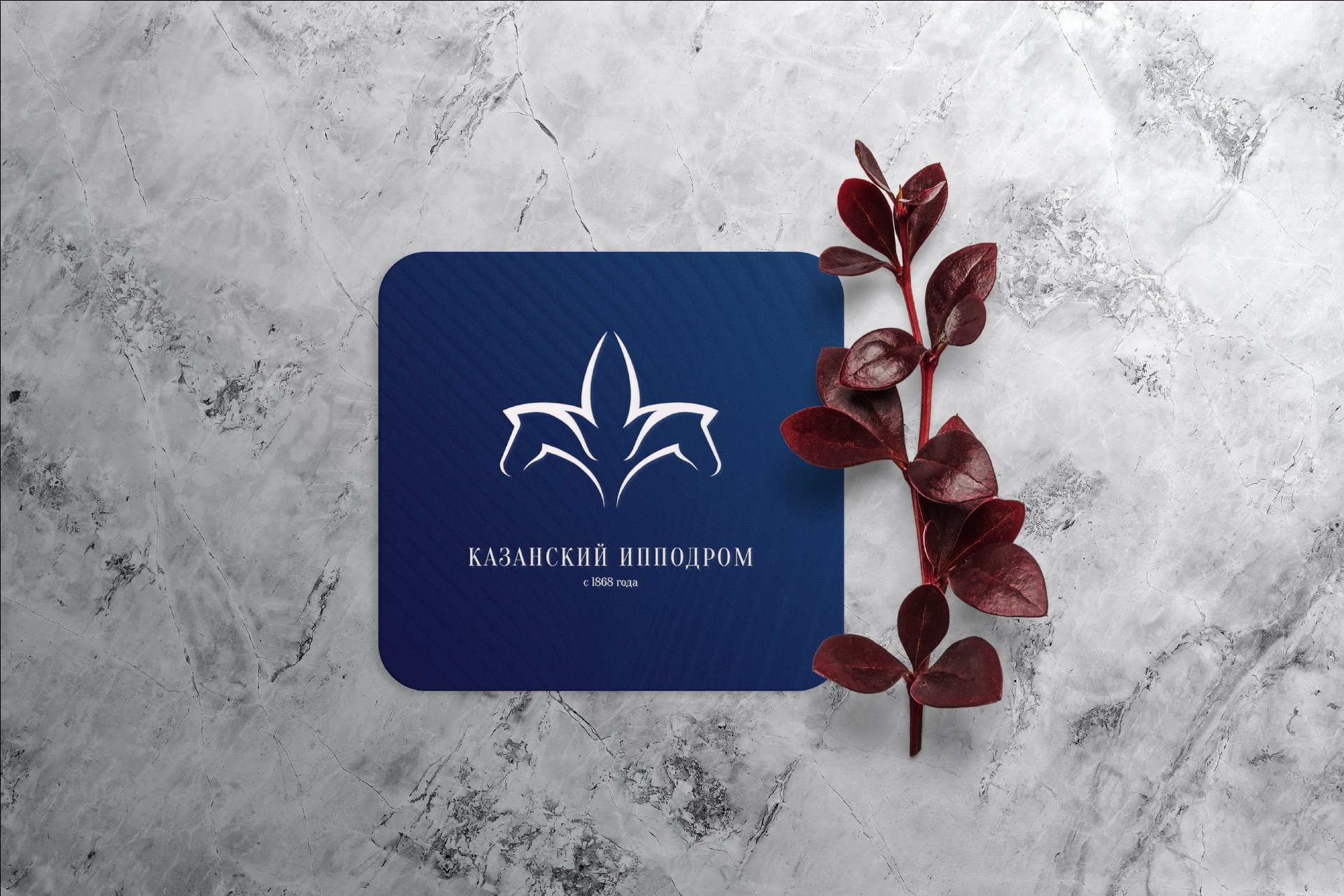 Deep-blue brand card with the tulip logo resting on grey marble beside red barberry sprigs